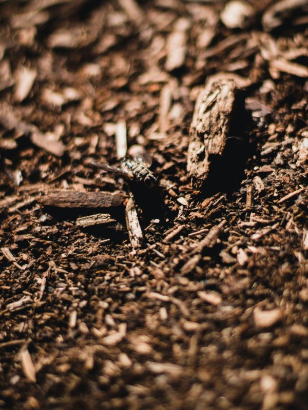 Mulch 4