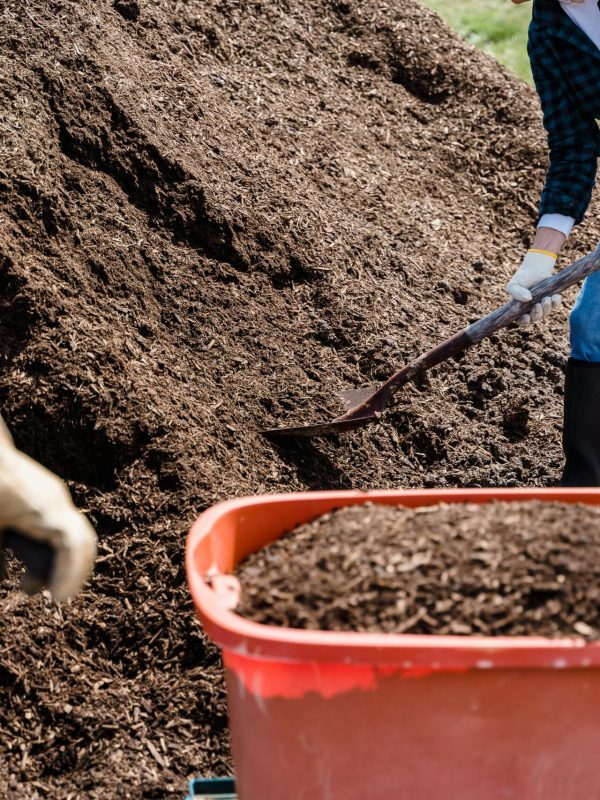 Mulch 3
