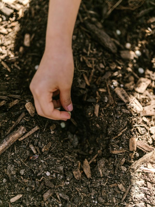 Mulch 2