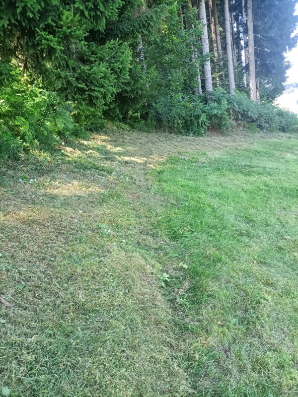 Mulch 7