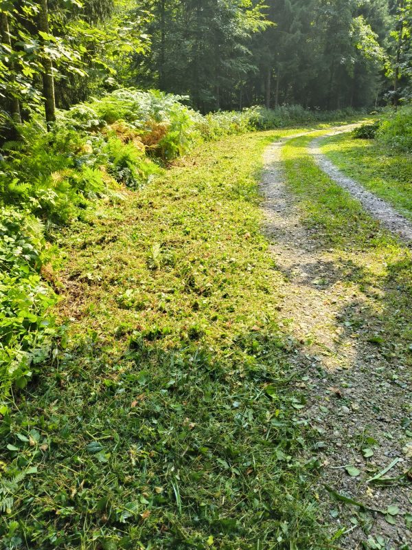 Mulch 10