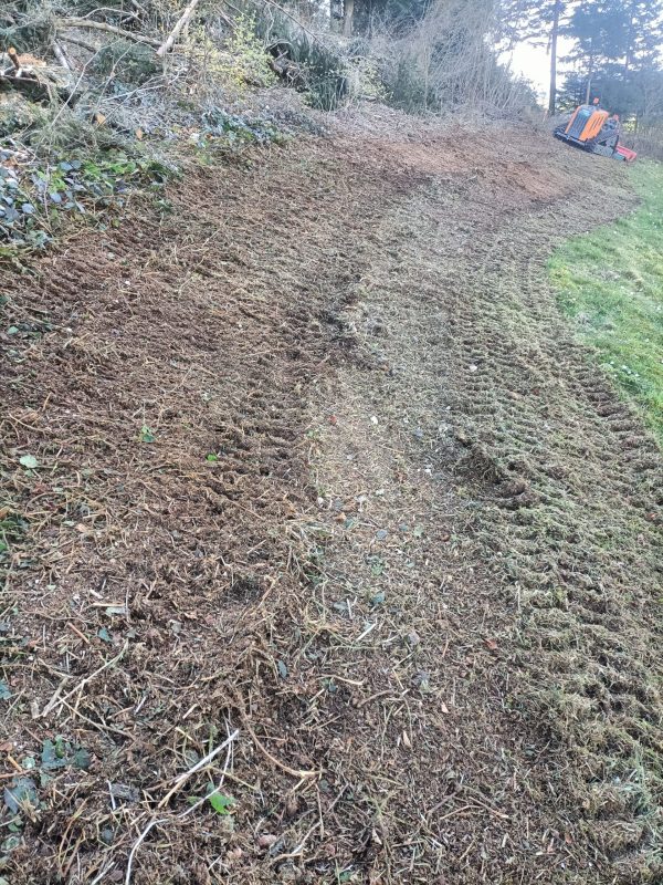 Mulch 8